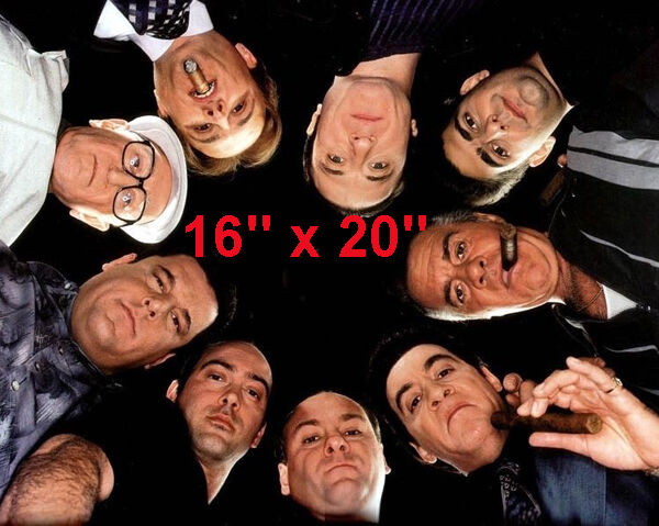 Sopranos~tv Show~ James Gandolfini~gangster~poster~photo~16" X  20"